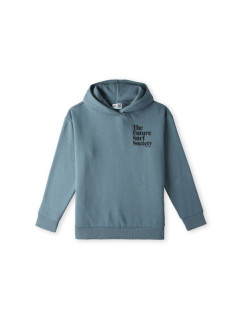 O'Neill Future Surf Society Hoodie Jr 92800614974